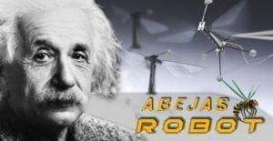 Lee más sobre el artículo ¿QUÉ PASARÍA SI SE MUEREN TODAS LAS ABEJAS? Einstein:»un desastre global»