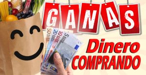 Lee más sobre el artículo COMO GANAR DINERO EXTRA FÁCIL HACIENDO LA COMPRA DE CASA