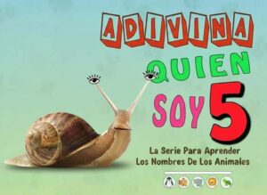 Lee más sobre el artículo 